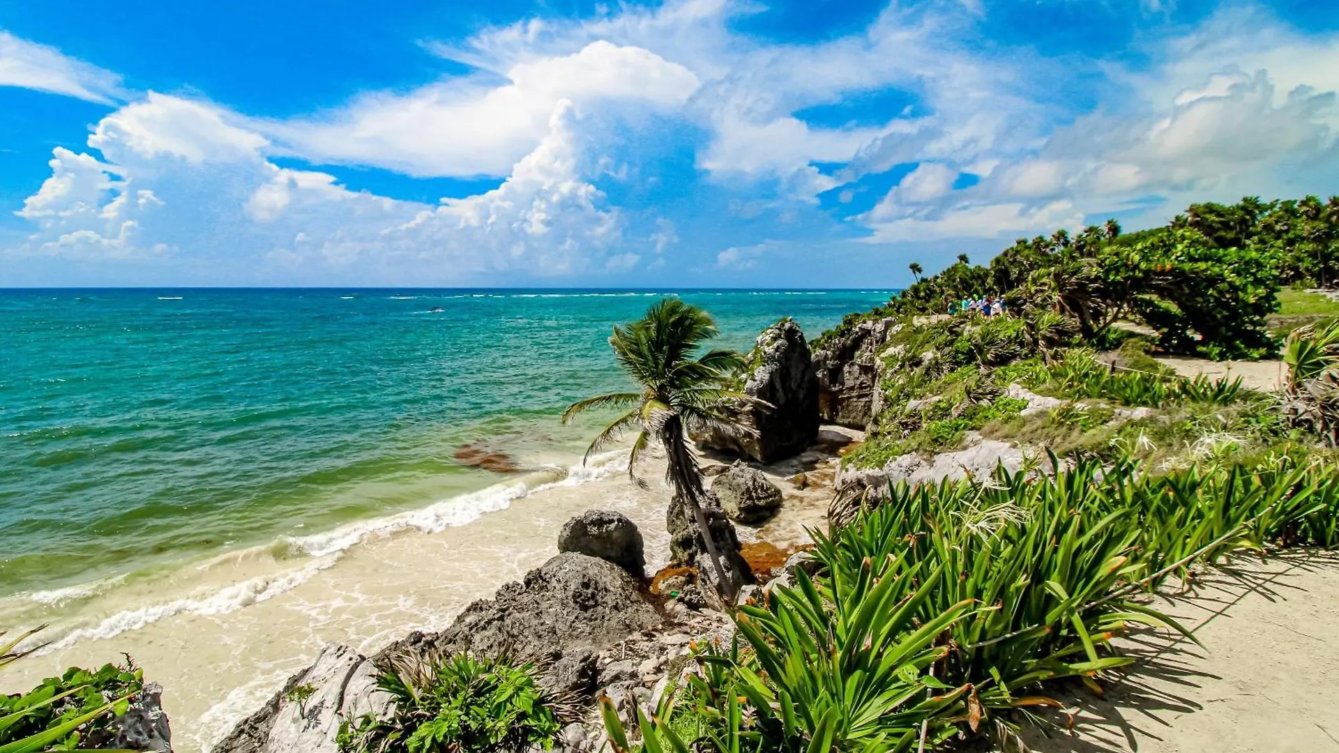Menesse Tulum #B104 Apartment