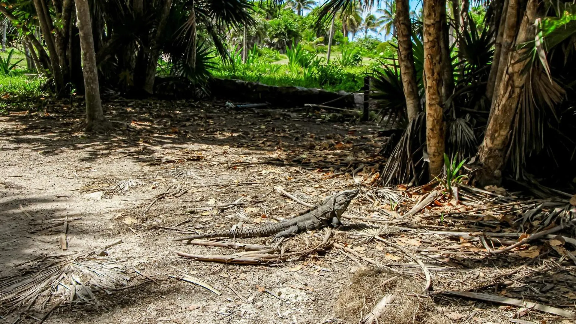 Menesse Tulum #B104 Apartment